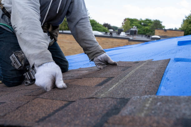 Roof Insulation Installation in Lackawanna, NY